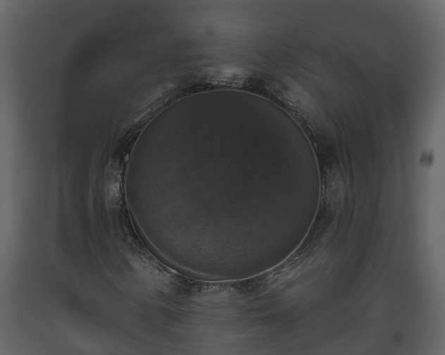 X0000093451154200710191057