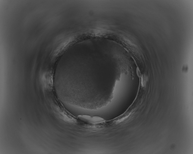 X0000093451155200710191057