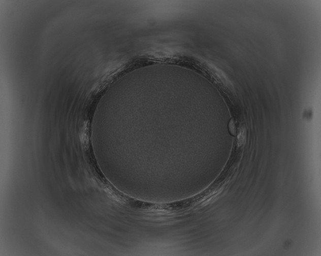 X0000093451156200710191057