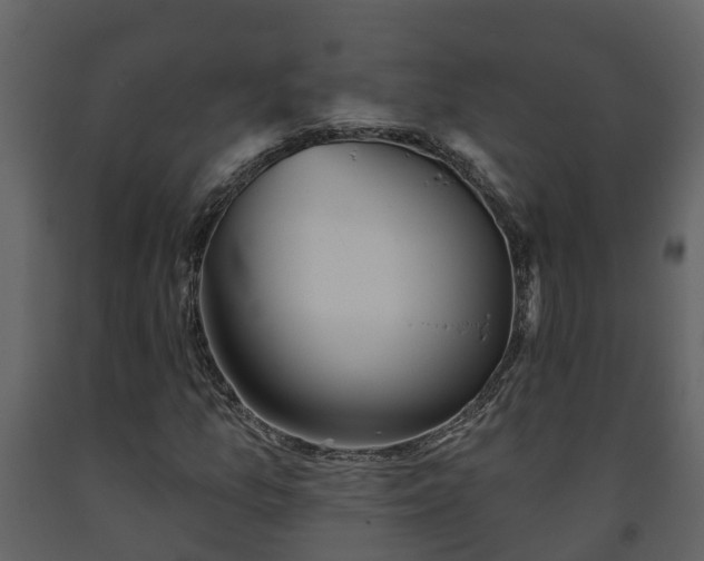 X0000093451157200710191057