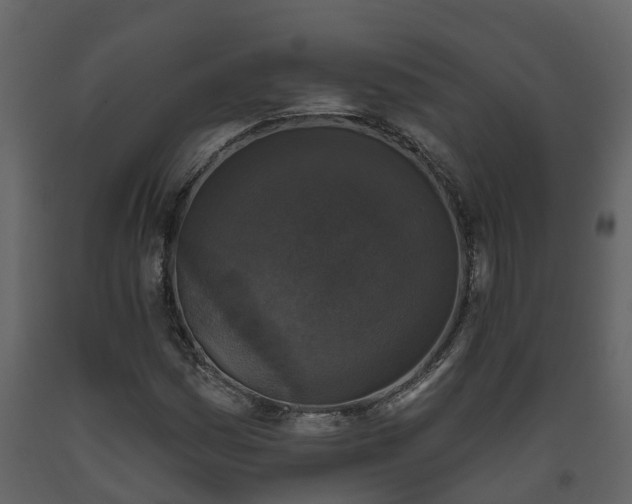 X0000093451161200710191056