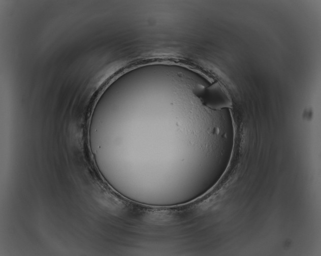 X0000093451162200710191056