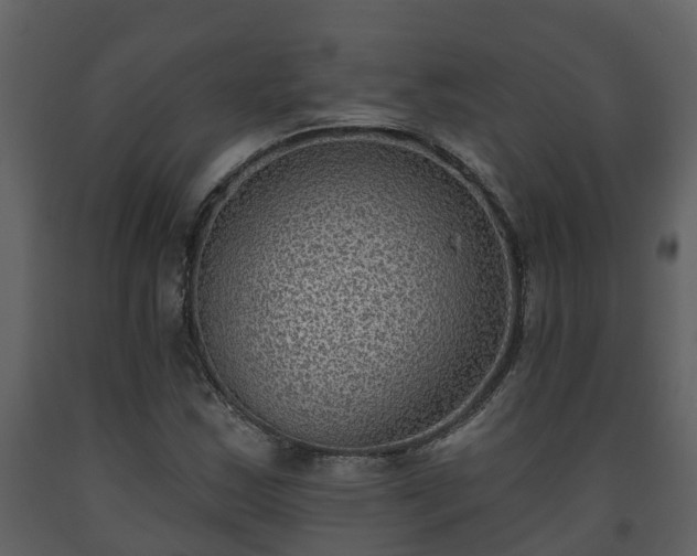 X0000093451163200710191056