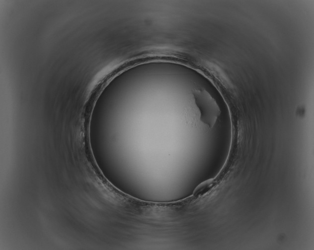 X0000093451164200710191056