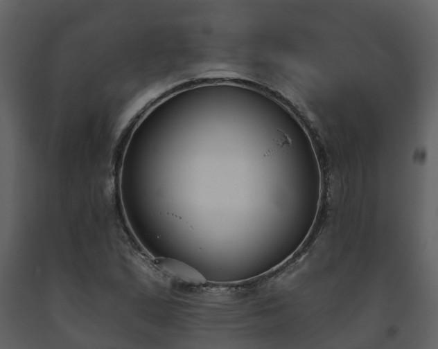 X0000093451167200710191056