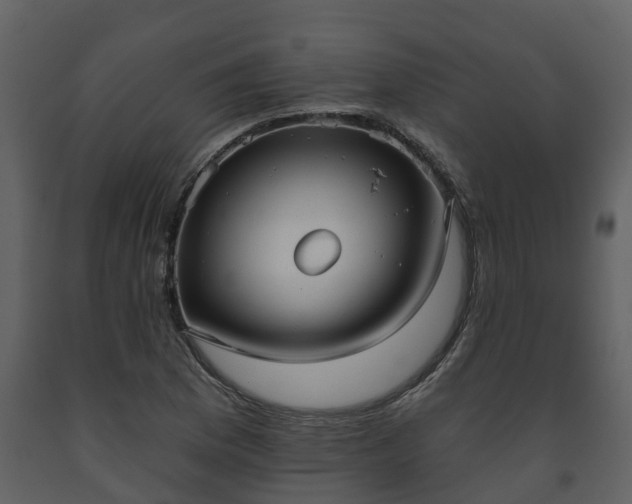 X0000093451169200710191056