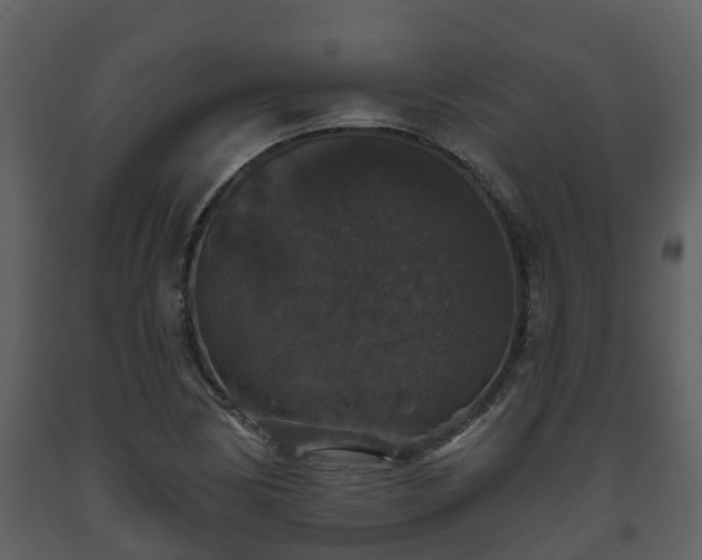 X0000093451170200710191056