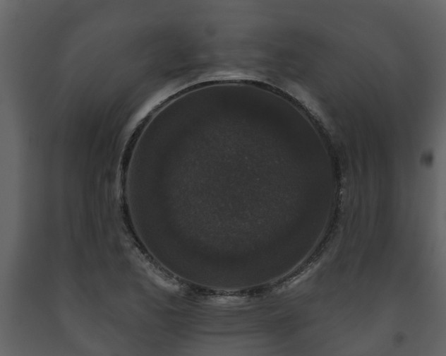 X0000093451173200710191056