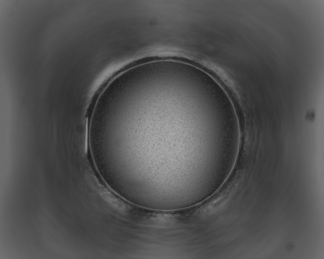 X0000093451175200710191056