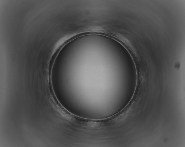 X0000093451176200710191056