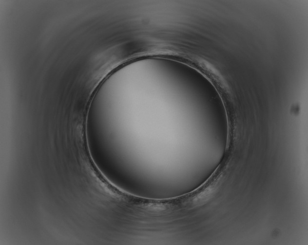 X0000093451177200710191056