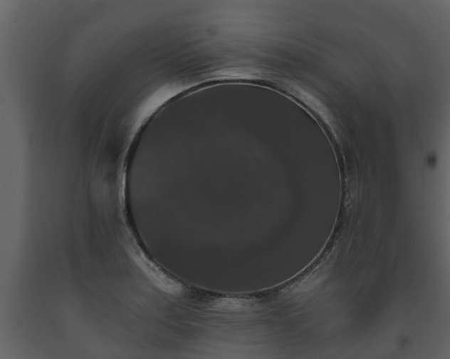 X0000093451179200710191056