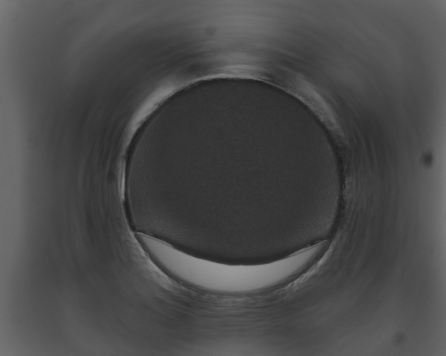 X0000093451180200710191056