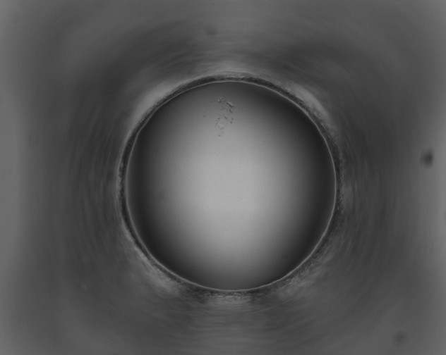 X0000093451183200710191056