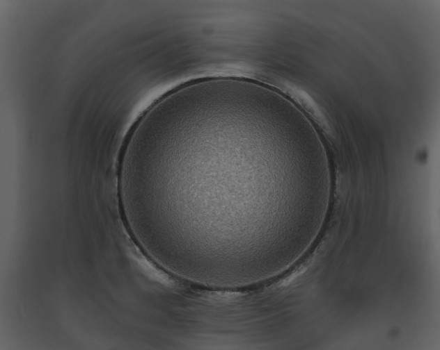 X0000093451184200710191056