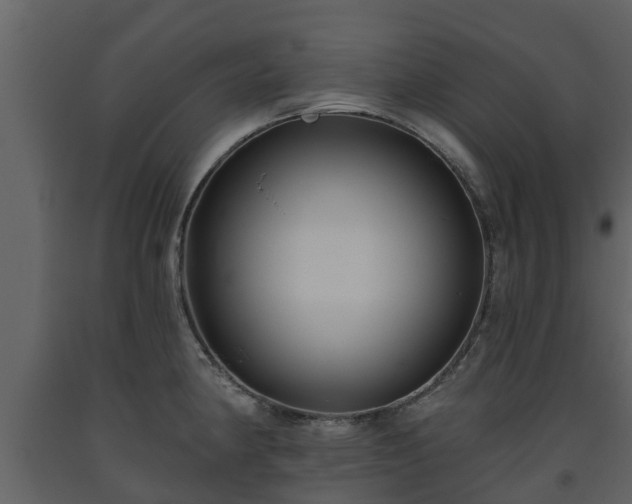 X0000093451190200710191056