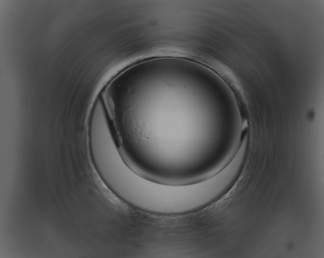 X0000093451192200710191056