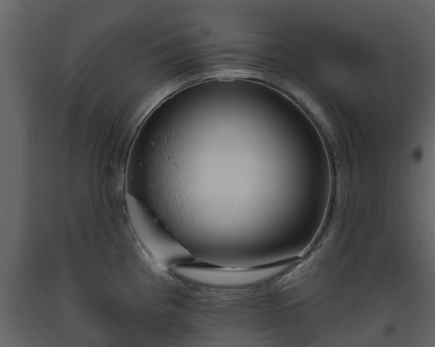 X0000093451193200710191056