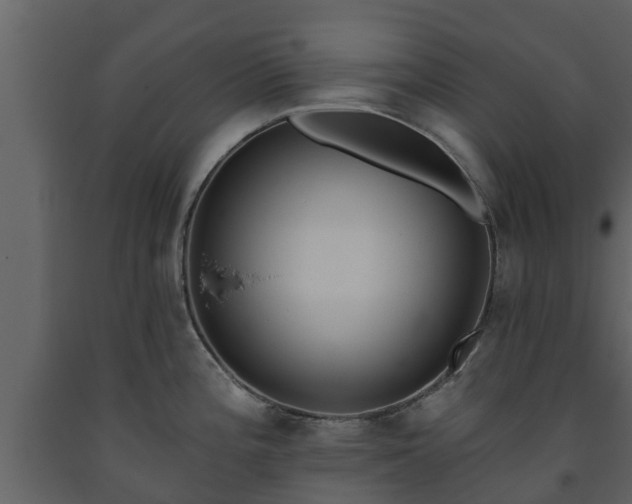 X0000093451196200710191056