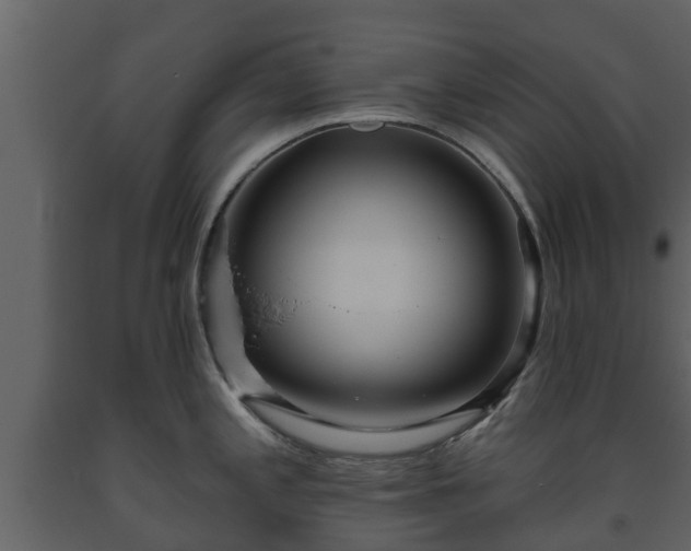 X0000093451197200710191056