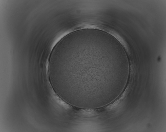 X0000093451198200710191056