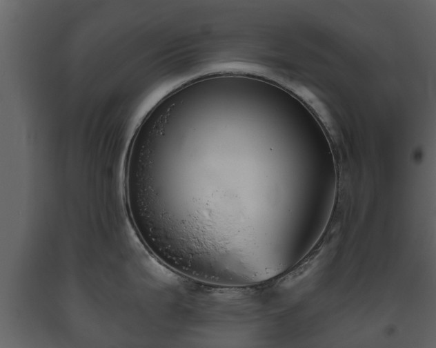 X0000093451199200710191056