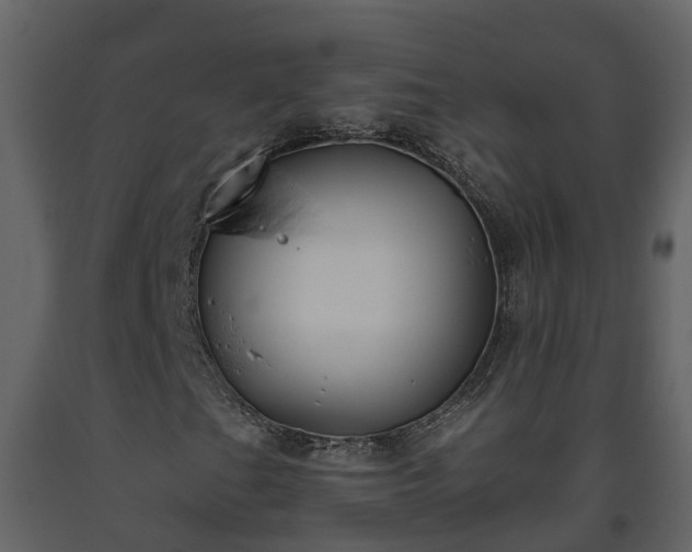 X0000093451201200710191055