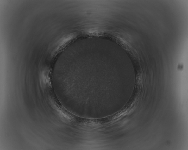 X0000093451202200710191055