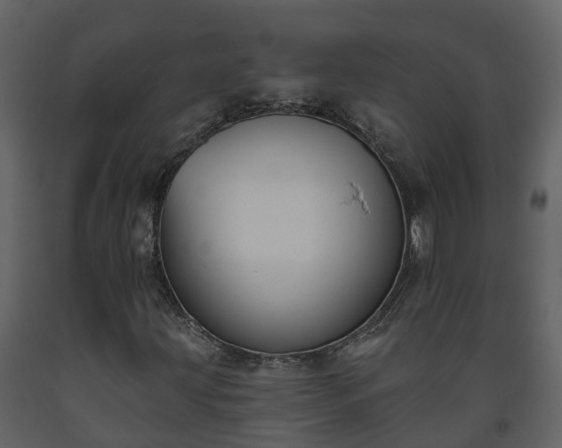 X0000093451203200710191055