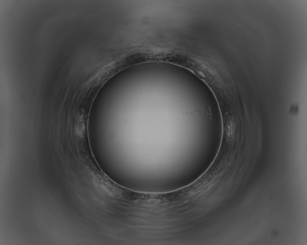 X0000093451204200710191055