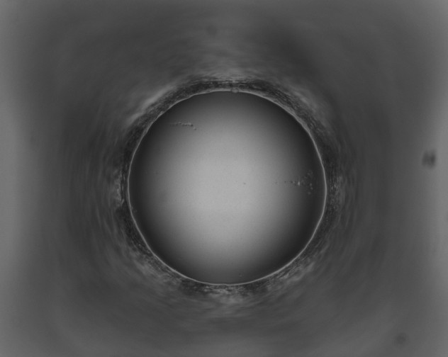 X0000093451205200710191055