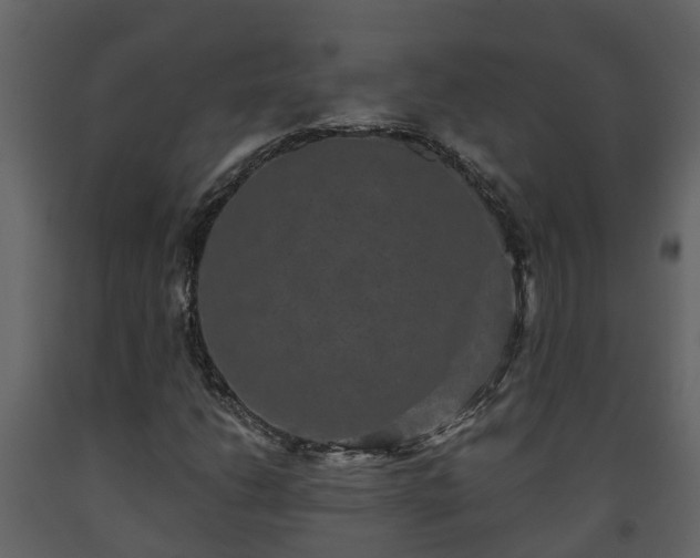 X0000093451206200710191055