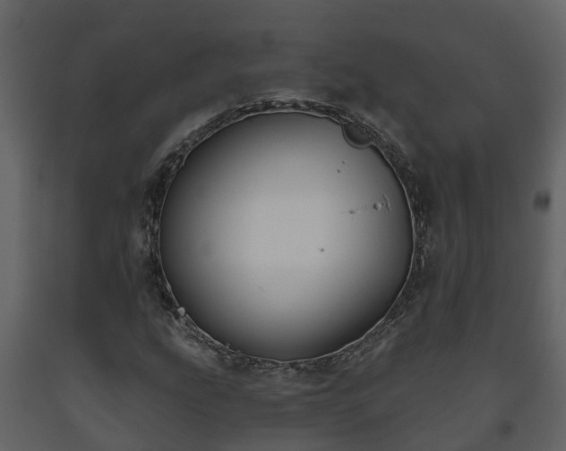 X0000093451207200710191055