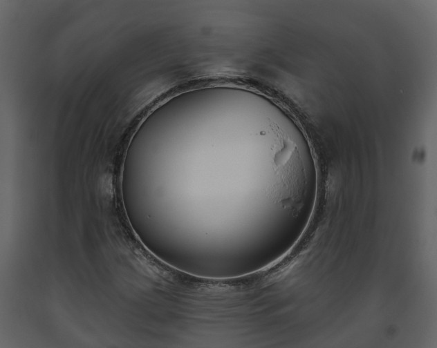 X0000093451209200710191055