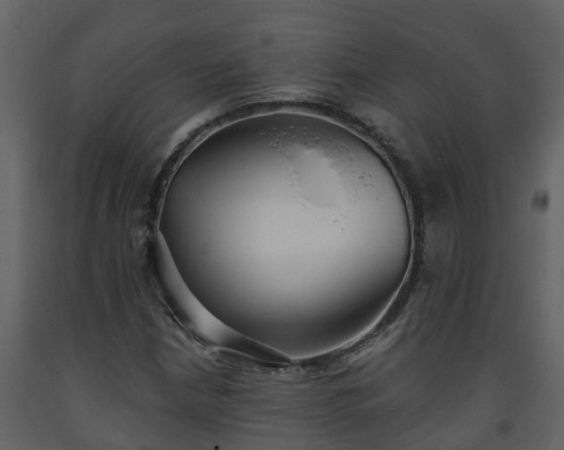 X0000093451210200710191056