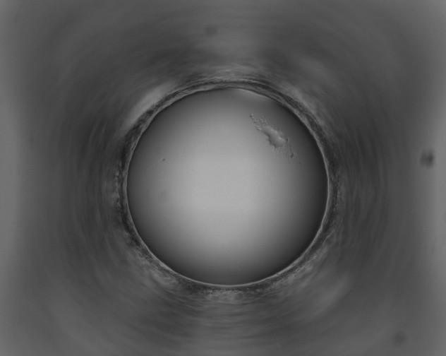 X0000093451211200710191056