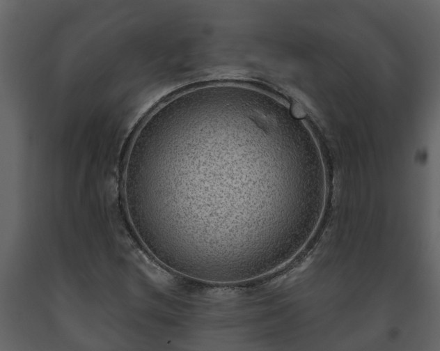 X0000093451212200710191056