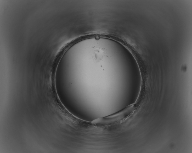 X0000093451214200710191056