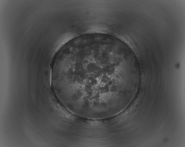 X0000093451219200710191056