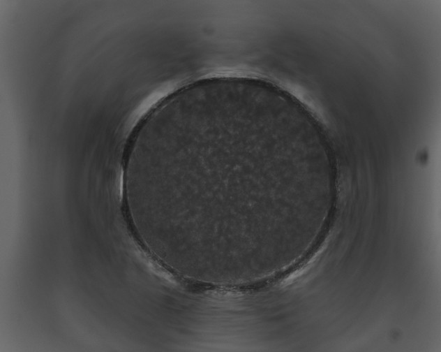 X0000093451221200710191056