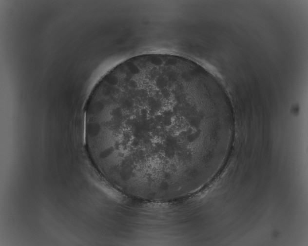 X0000093451223200710191056