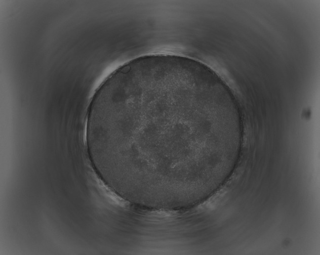 X0000093451224200710191056