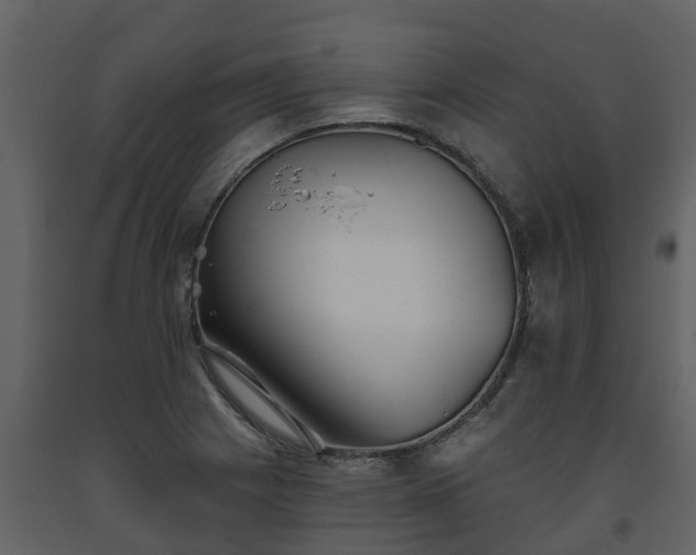 X0000093451225200710191056