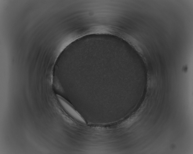 X0000093451226200710191056