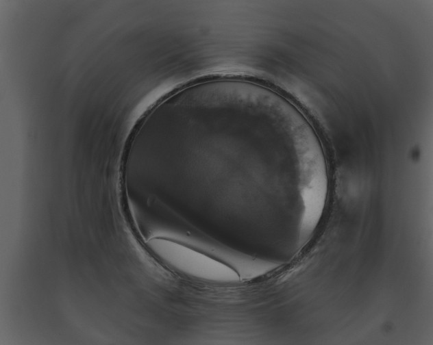 X0000093451229200710191056