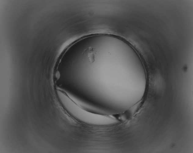 X0000093451230200710191056