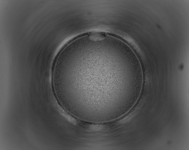 X0000093451232200710191056