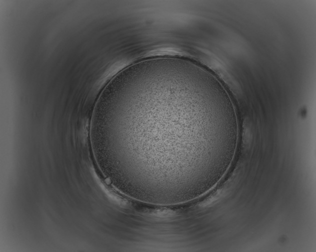 X0000093451233200710191056