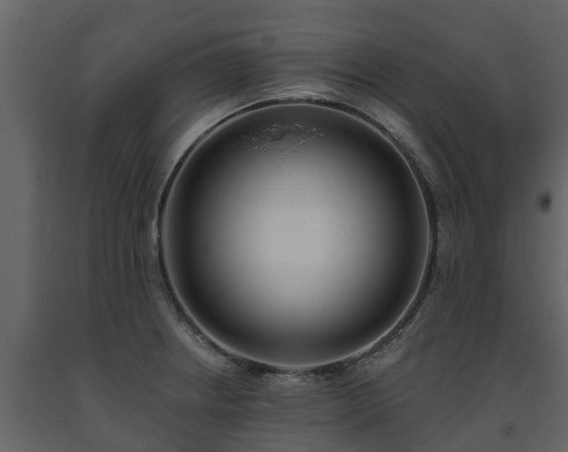 X0000093451234200710191056