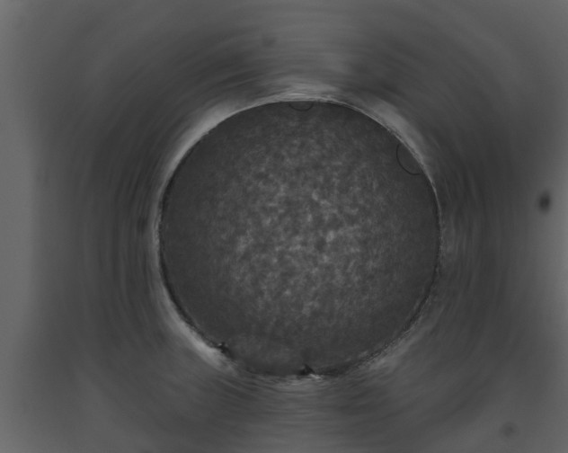 X0000093451235200710191056